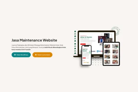 biaya maintenance website