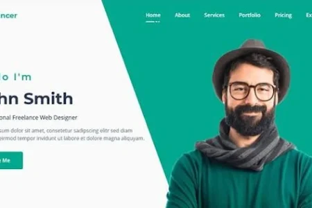 website portofolio freelancer